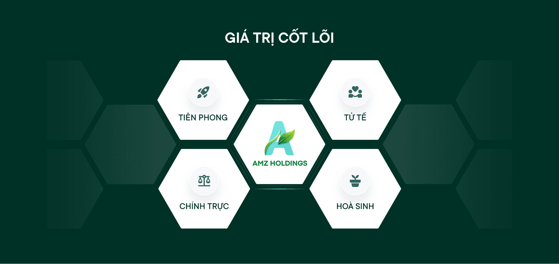 Giá trị cốt lõi AMZ Holdings